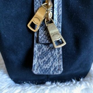 【新品未使用】COACH 激レア ショルダー バッグ ダルトン ヘビ