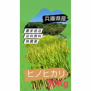 【令和4年】ひのひかり ヒノヒカリ 新米 玄米 農薬：栽培期間中不使用 10kg(米/穀物)