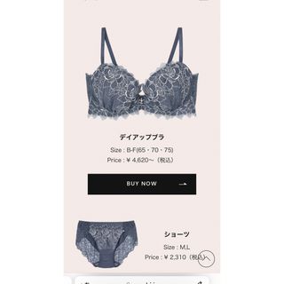 アンフィ(AMPHI)のAMPHI  新品タグ付き　Day up bra セットアップ　サイズB75　(ブラ&ショーツセット)