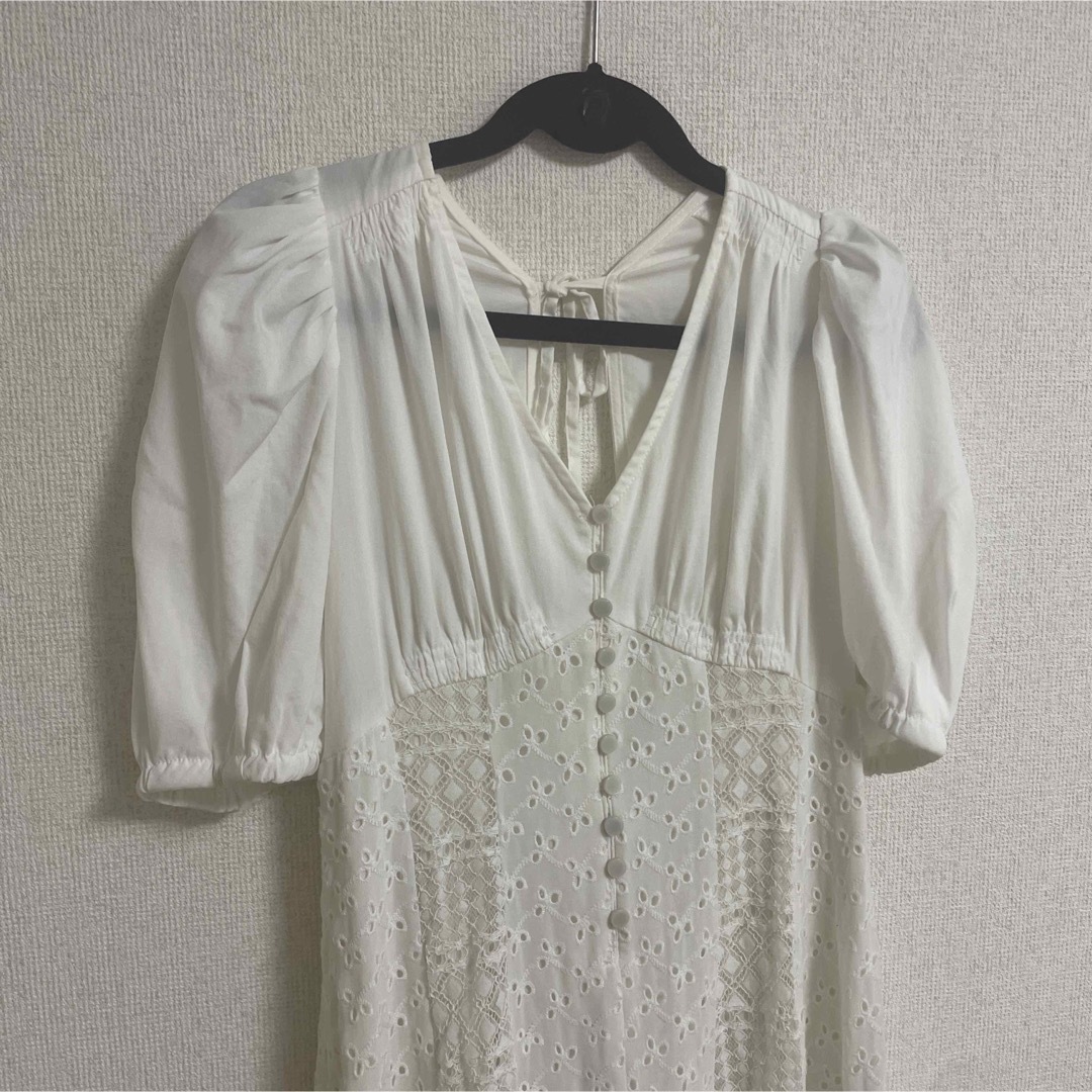 ストライプ デザイン/Striipe design 今期 新品 レースMIXパフスリーブ