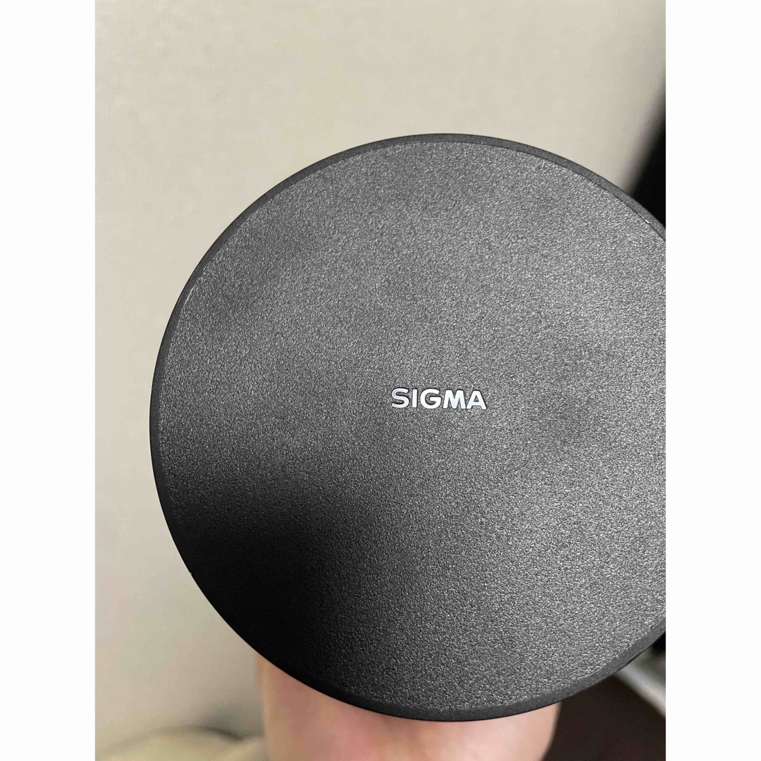 sigma 14-24mm f2.8 DG DN Art Eマウント