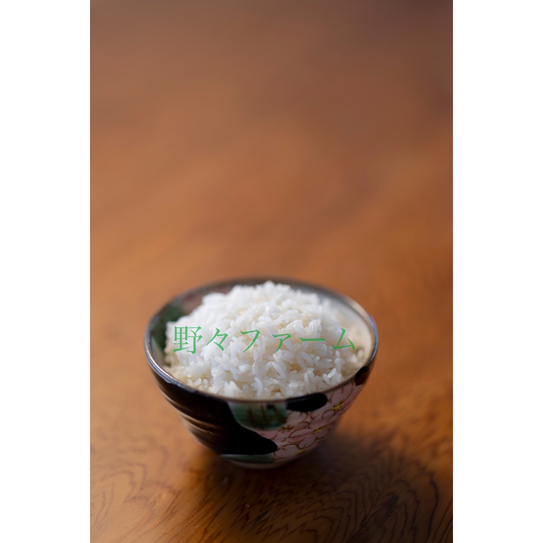 つや姫　山形　10kg  特別栽培米　令和4年産 3