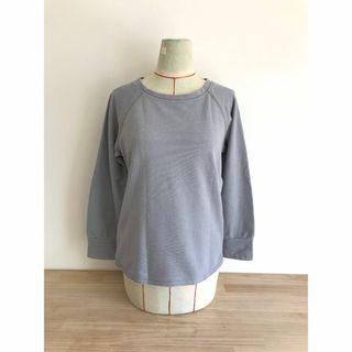 アーペーセー(A.P.C)のアーペーセー/トップス/長袖/ロンT/トレーナー/ブルーグレー/コットン/S(トレーナー/スウェット)