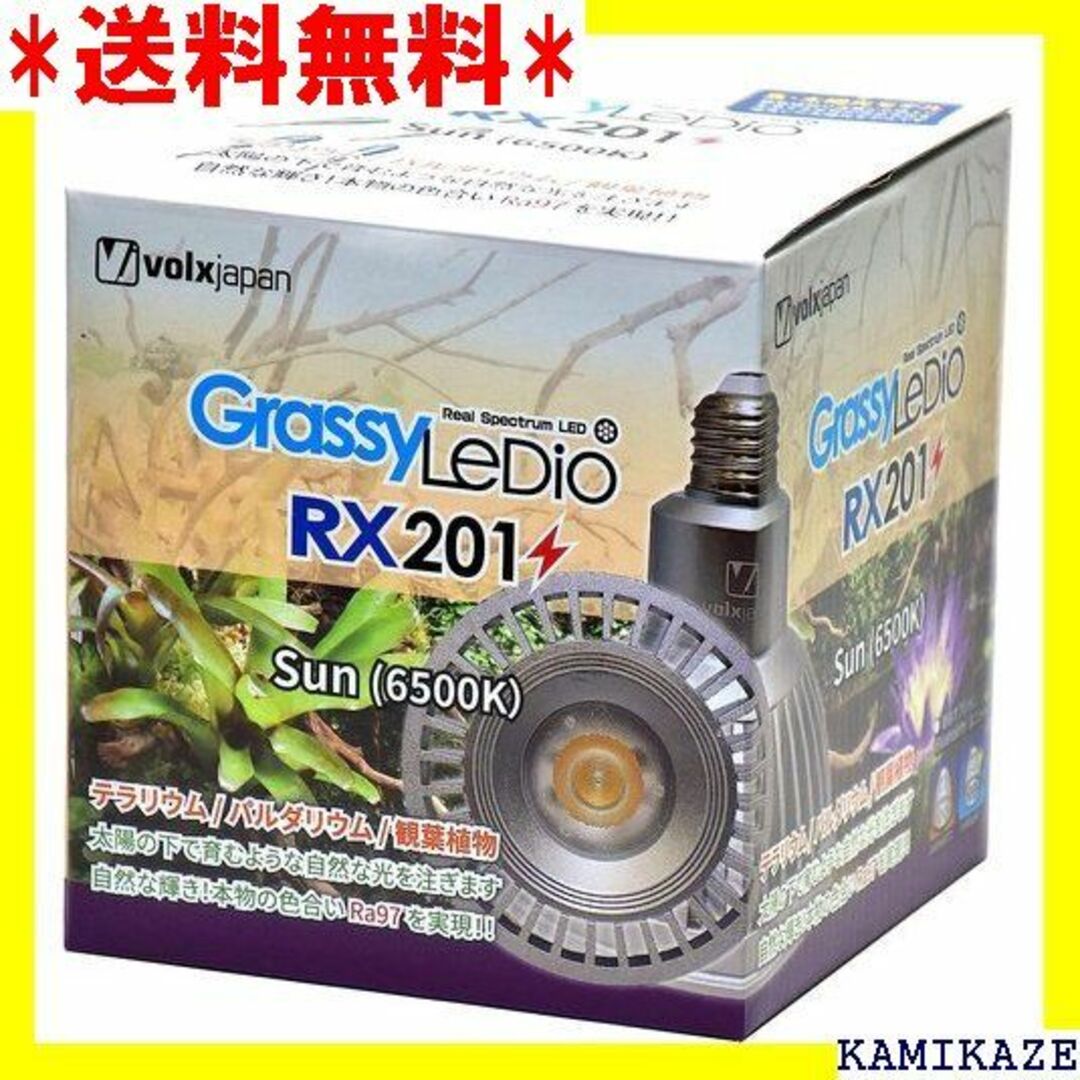 ☆ ボルクスジャパン グラッシーレディオ RX201 サン 6500K 693その他