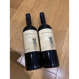 未開封　2019 ANDESITA 赤ワイン　2本セット(ワイン)