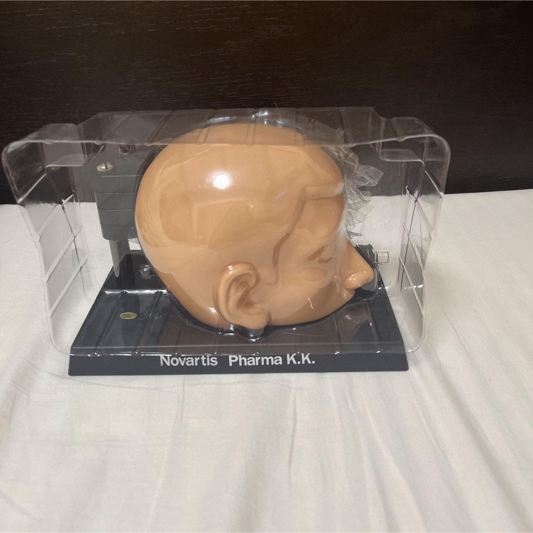 脳模型/人体模型/断面図 エンタメ/ホビーのおもちゃ/ぬいぐるみ(その他)の商品写真