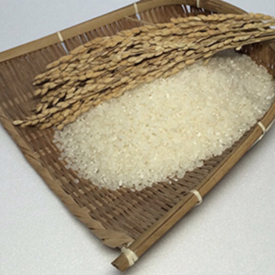 まるまる子様専用 無農薬コシヒカリ5分づき20kg(5kg×4)令和4年 まるまる子様専用 無農薬コシヒカリ5分づき20kg(5kg×4)令和4年