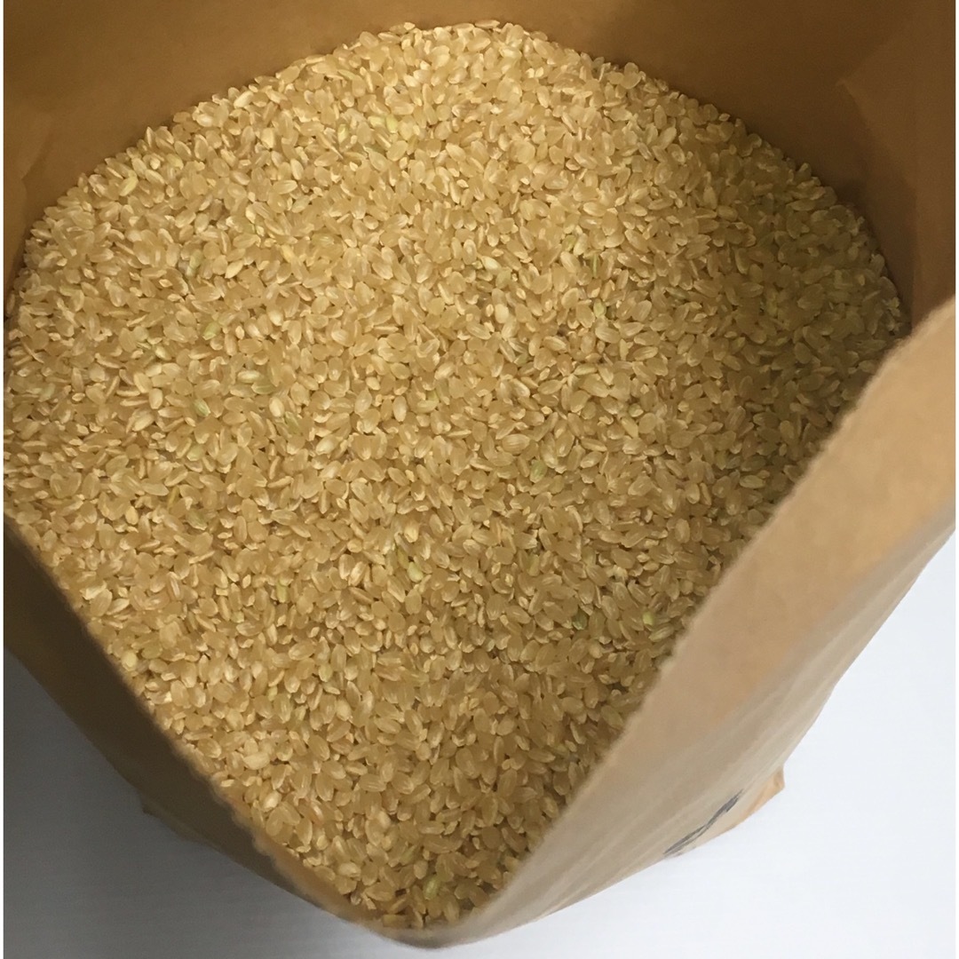 まるまる子様専用 無農薬コシヒカリ5分づき20kg(5kg×4)令和4年 まるまる子様専用 無農薬コシヒカリ5分づき20kg(5kg×4)令和4年
