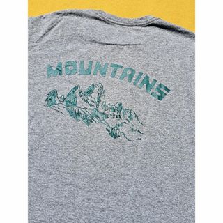 パタゴニア(patagonia)のパタゴニア Playlands Responsibili-Tee S GHMO(Tシャツ/カットソー(半袖/袖なし))