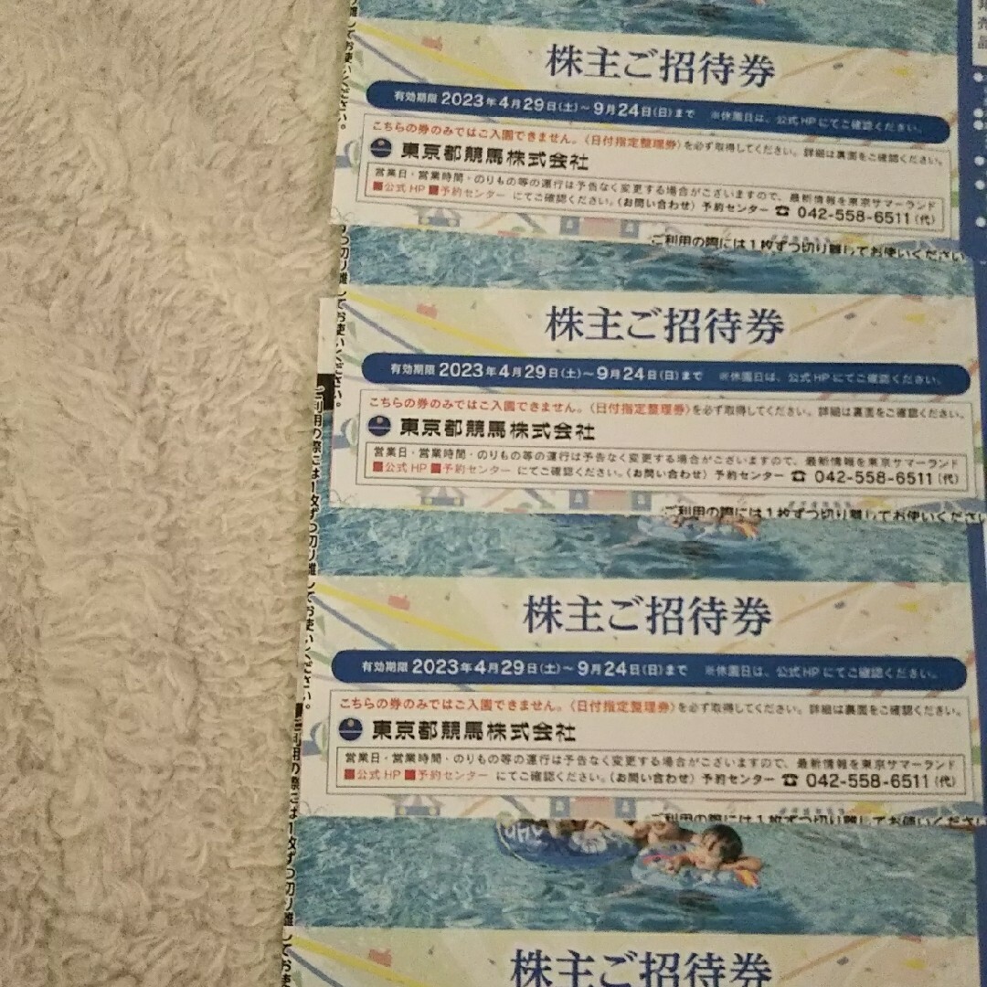 即日発送 東京サマーランドフリーパス4枚 - 遊園地/テーマパーク