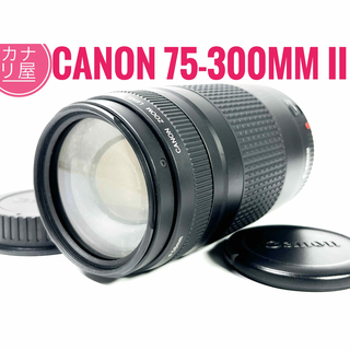 キヤノン(Canon)の✨安心保証✨CANON EF 75-300mm f/4-5.6 II(レンズ(ズーム))