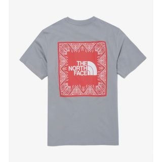 ザノースフェイス(THE NORTH FACE)のノースフェイス Tシャツ Lサイズ  バンダナ ペイズリー グレー 日本未発売(Tシャツ/カットソー(半袖/袖なし))