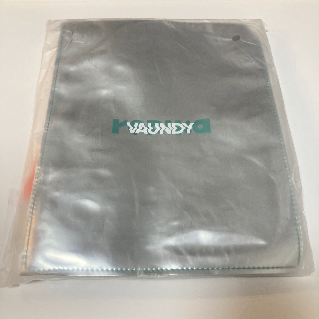 vaundy メッシュバッグ　新品未開封 エンタメ/ホビーのタレントグッズ(ミュージシャン)の商品写真