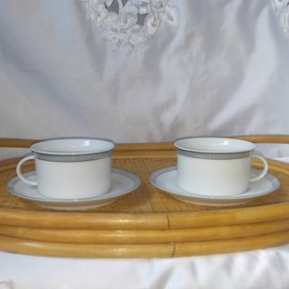Rosenthal - ローゼンタール カップ&ソーサー(2客) シルバーの通販