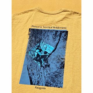 パタゴニア(patagonia)のパタゴニア Pocket Responsibili-Tee M HAGL(Tシャツ/カットソー(半袖/袖なし))