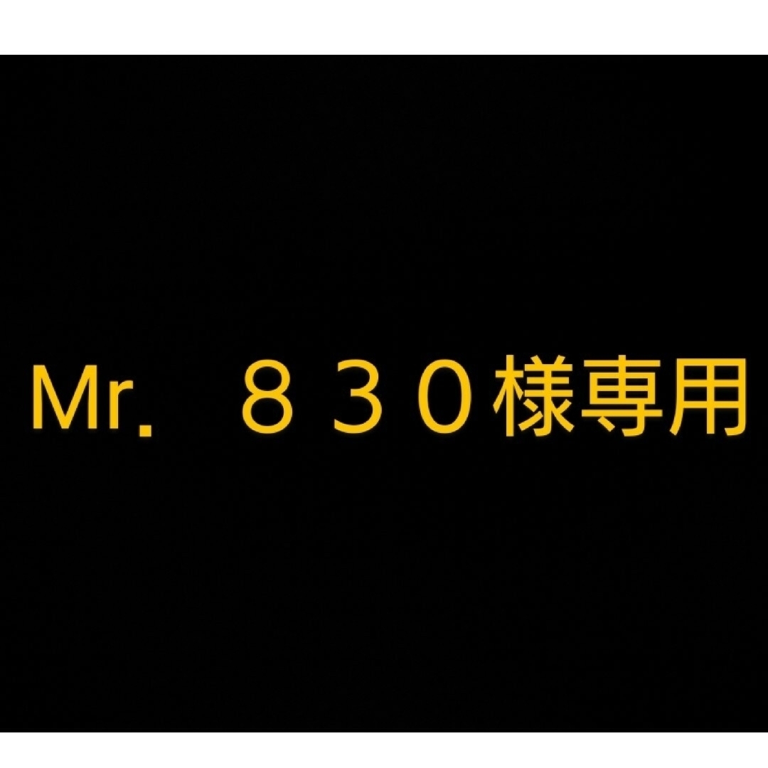 Mr．８３０様専用 ハンドメイドの素材/材料(その他)の商品写真