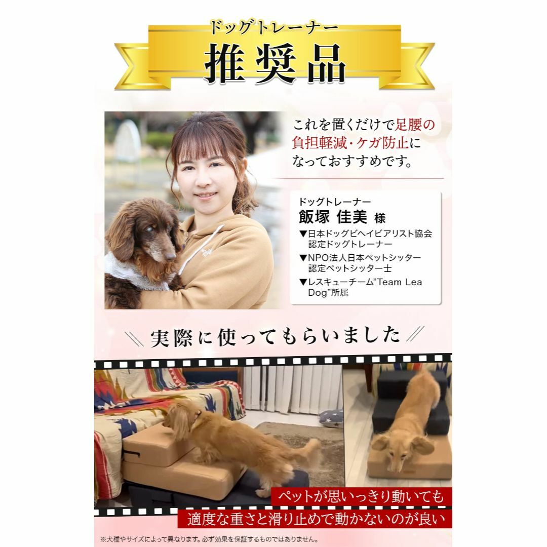 【色: グレー】PetStyle ドッグステップ 犬 ステップ 階段 ドッグトレ 2