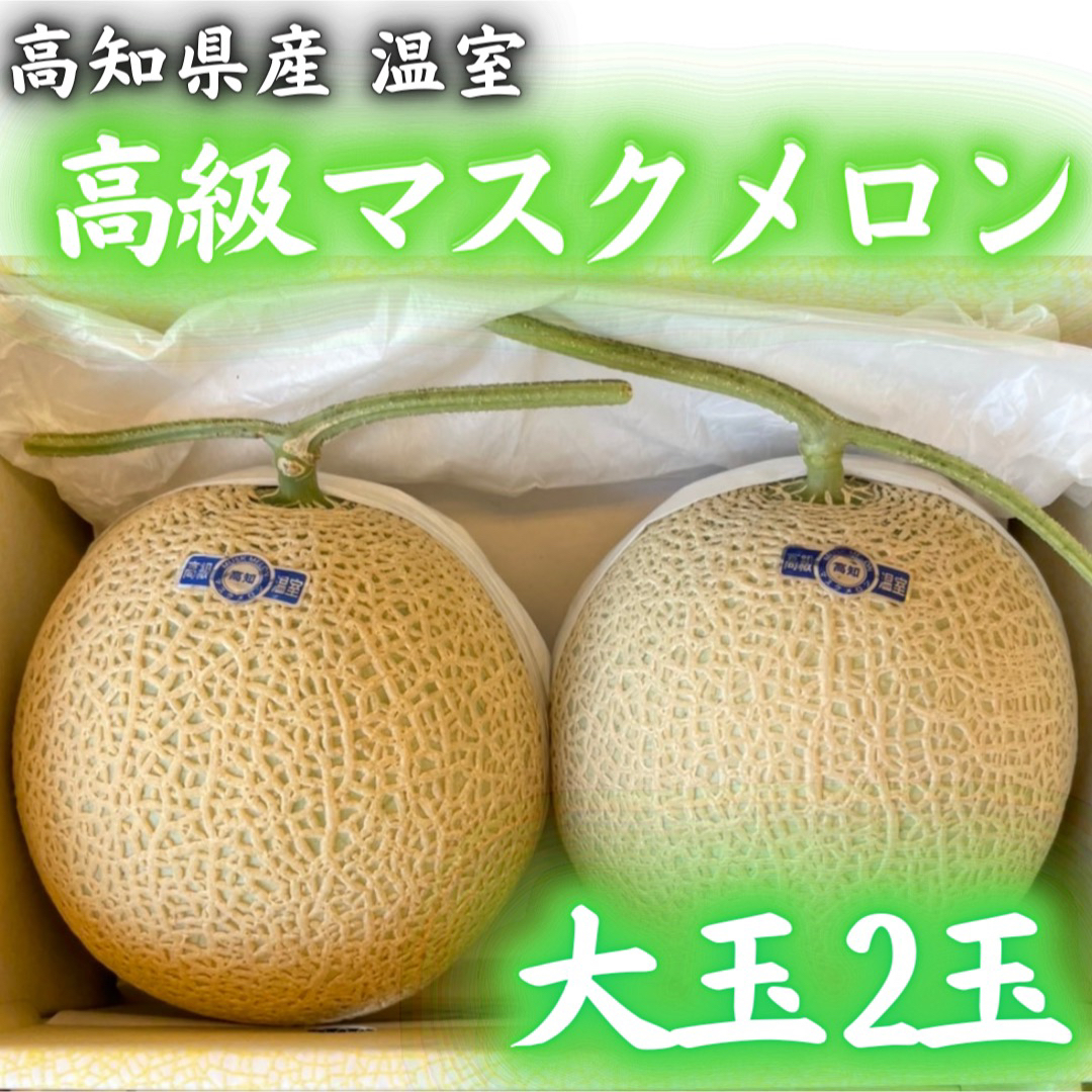 高知県産 高級 温室 マスクメロン 2玉 大玉 メロン 食品/飲料/酒の食品(フルーツ)の商品写真