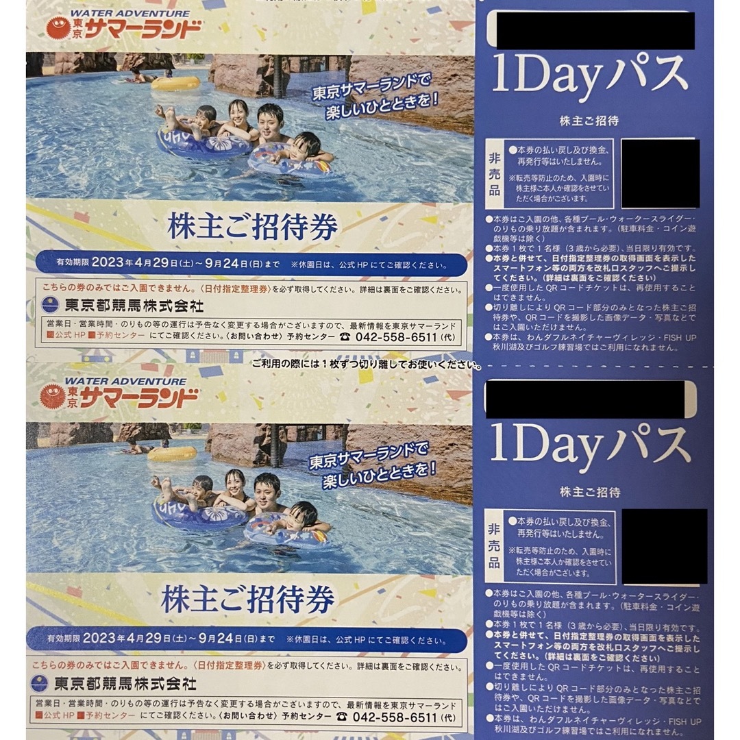 東京サマーランド株主優待券 1day パス2枚