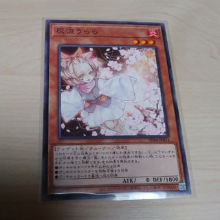 ユウギオウ(遊戯王)の追加あり灰流うらら ノーマル 遊戯王(その他)