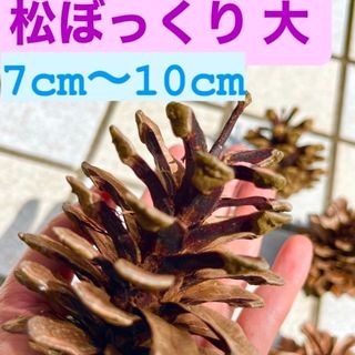 【即発OK】松ぼっくり 大　７〜10cm 30個☆ ハンドメイドや着火剤に‼︎(その他)