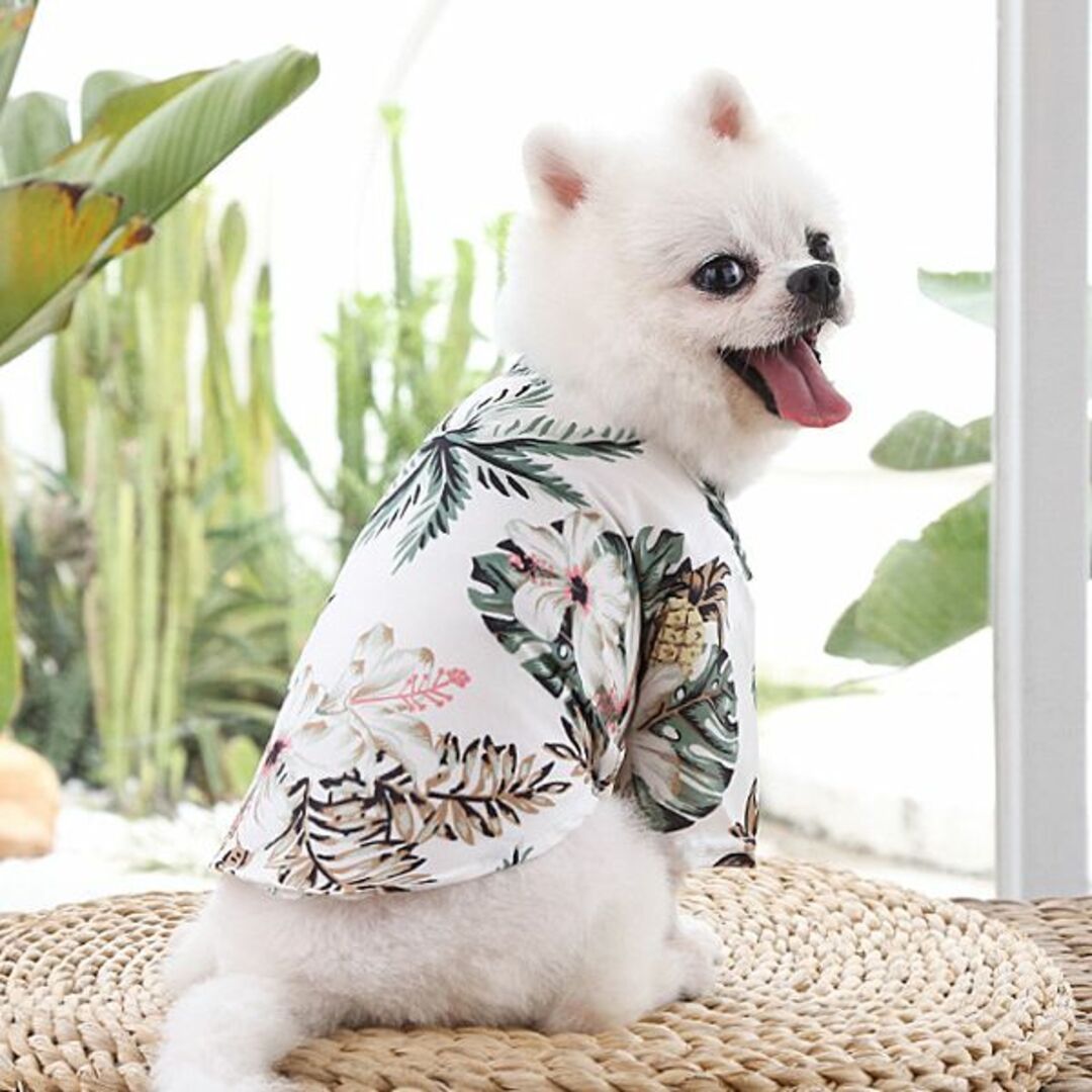 犬 猫 ペット服 夏服 アロハシャツ Tシャツ ホワイトType その他のペット用品(犬)の商品写真