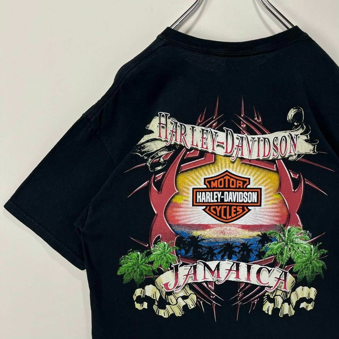 ハーレーダビッドソン ビッグロゴ Tシャツ ブラック Lサイズ USA製 - T