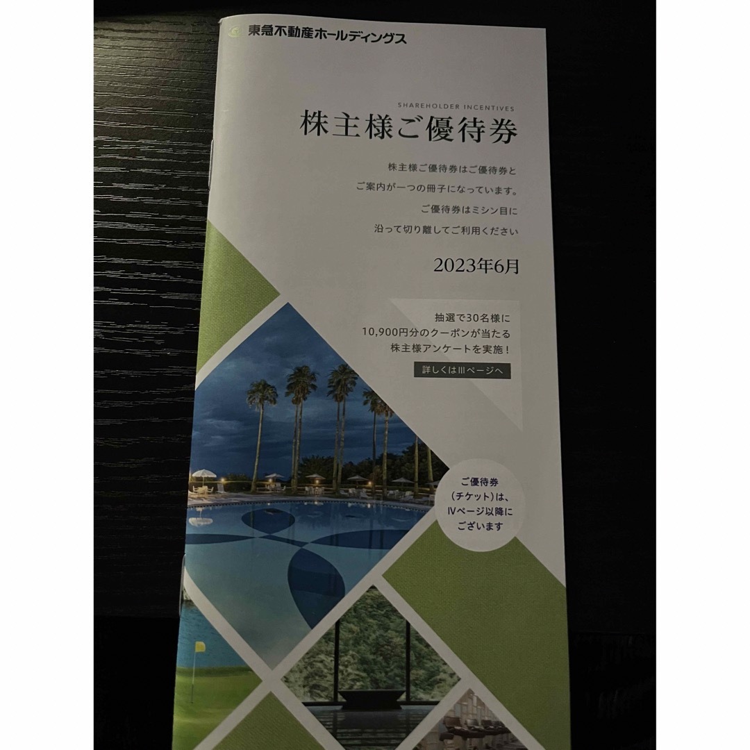 東急不動産ホールディングス　株主優待券　500株 チケットの優待券/割引券(その他)の商品写真