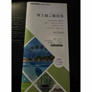 東急不動産ホールディングス　株主優待券　500株(その他)