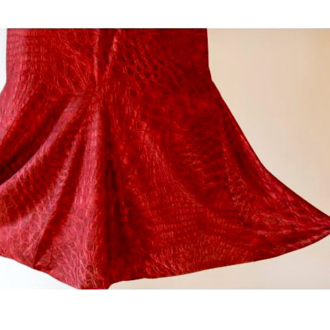 スペイン人デザイナーSusanaのフラメンコ衣装スカート水玉 - ダンス/バレエ
