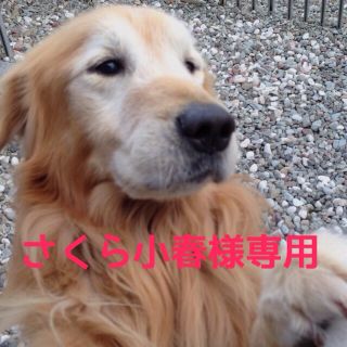 さくら小春様専用(ルームウェア)