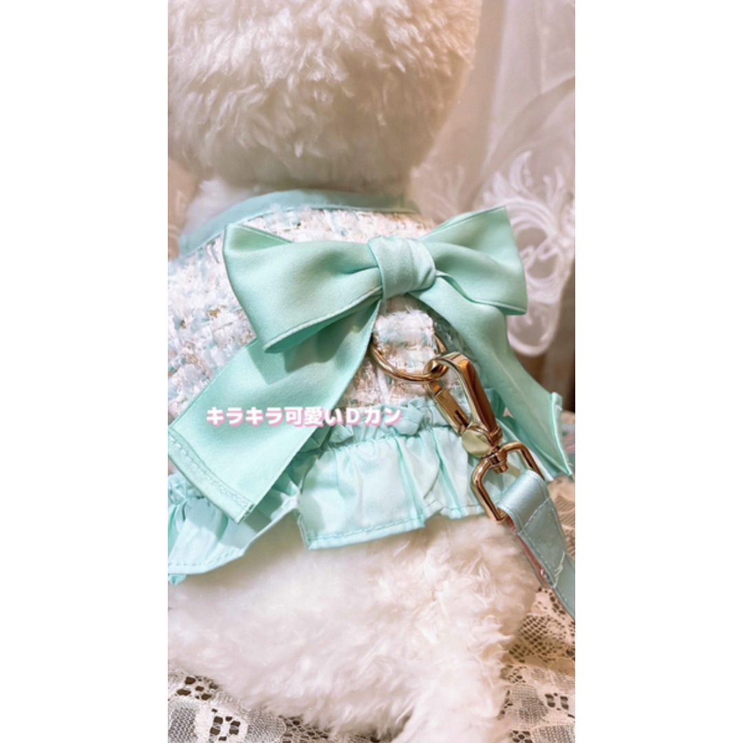 ティファニーブルーカラー　可愛い　犬服　猫服　お散歩セット　リード付き ハンドメイドのペット(リード/首輪)の商品写真