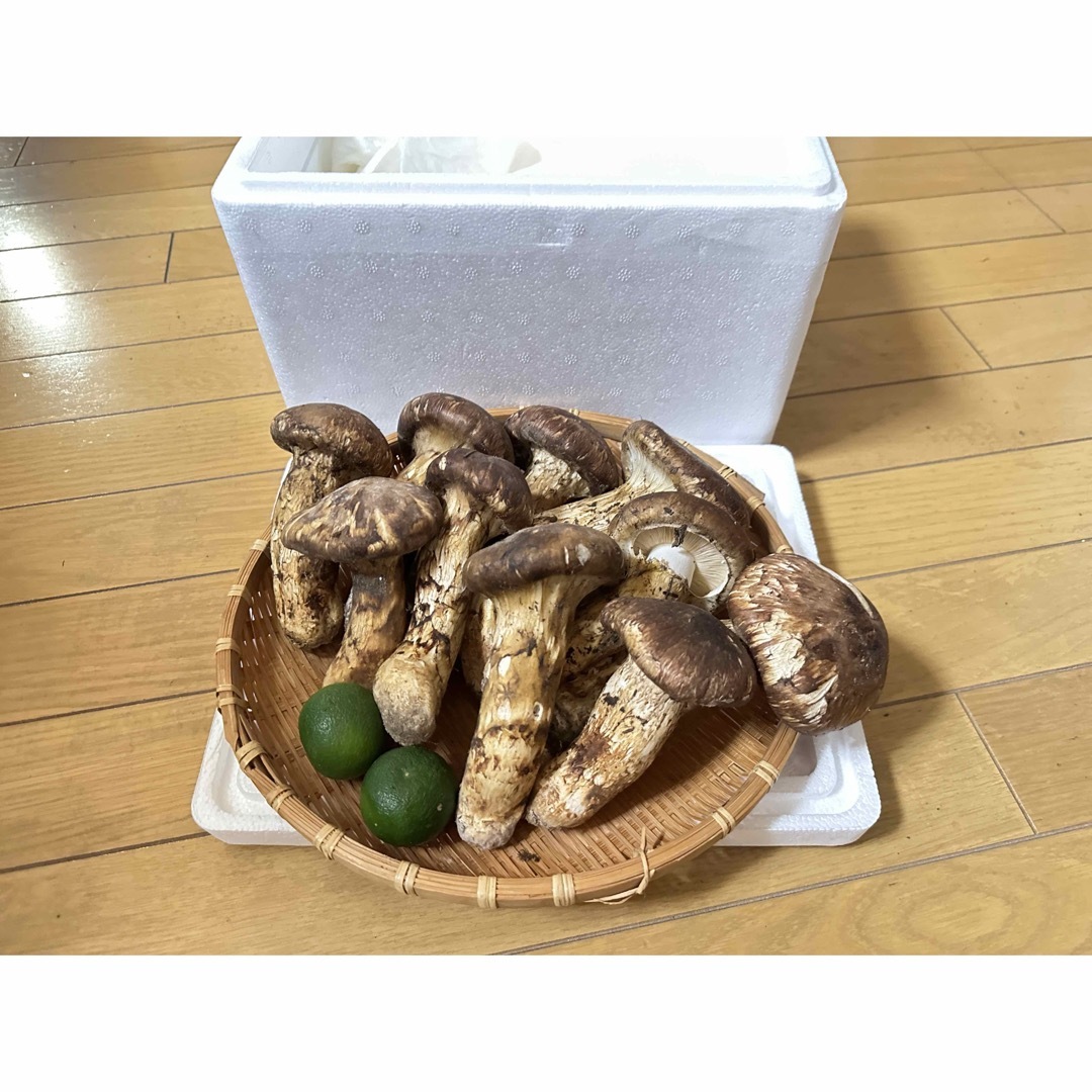 中国産 松茸 約1kg まつたけ マツタケ 食品/飲料/酒の食品(野菜)の商品写真