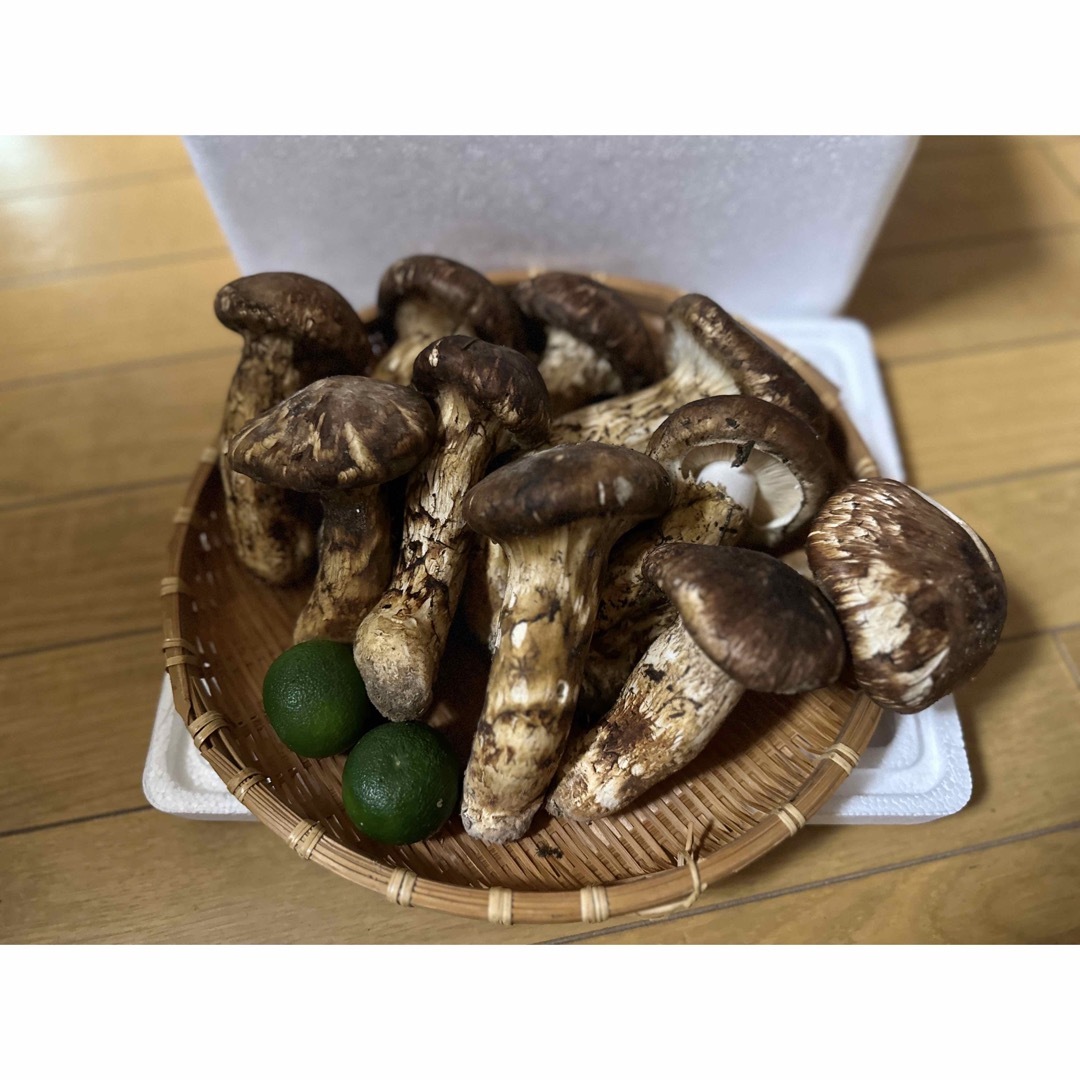 中国産 松茸 約1kg まつたけ マツタケ 食品/飲料/酒の食品(野菜)の商品写真