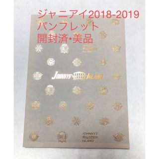 ジャニーズ(Johnny's)のジャニーズアイランド　パンフレット(アイドルグッズ)