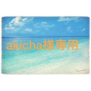 akicha様専用(チャーム)