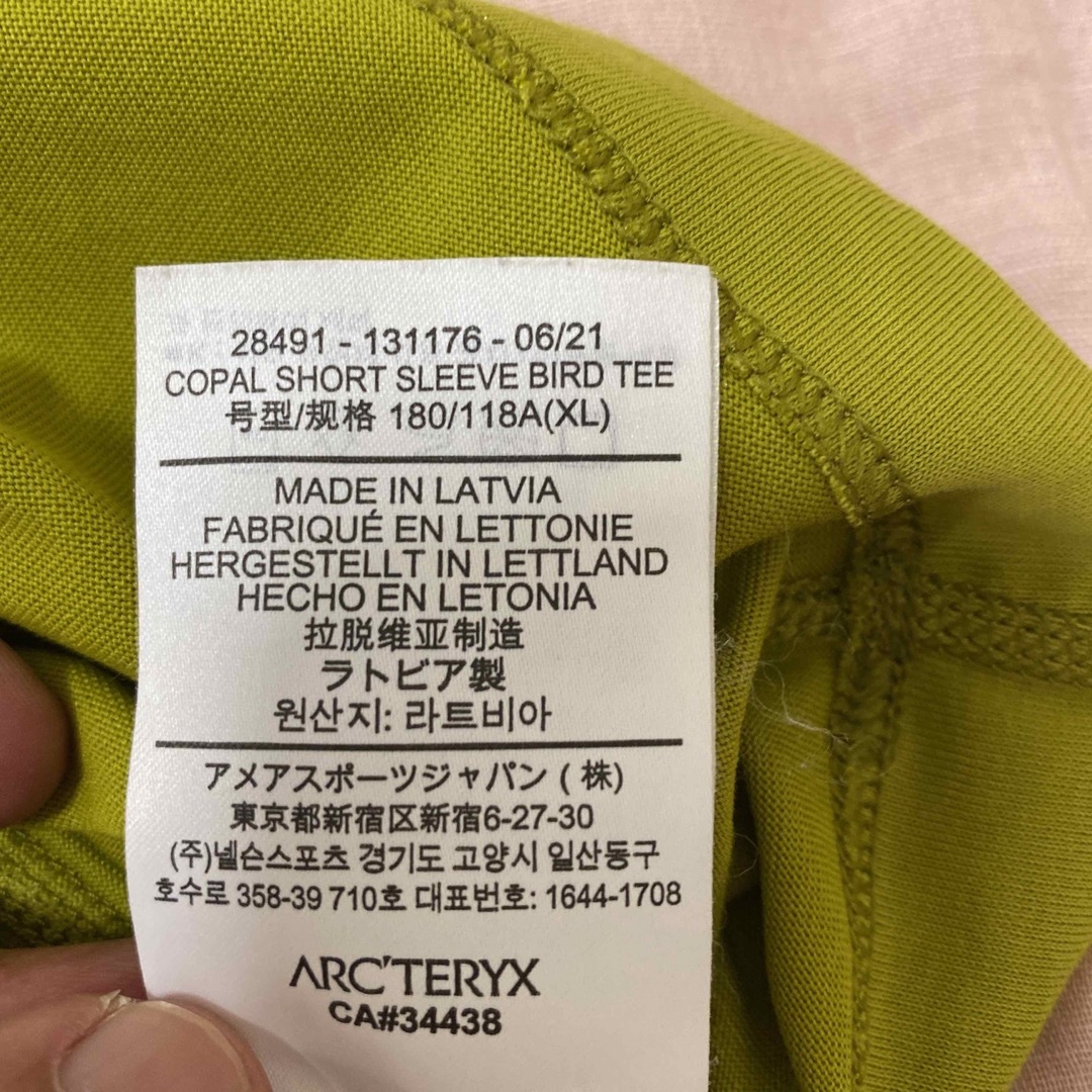 ARC'TERYX(アークテリクス)のARC’TERYX TシャツCOPAL BIRD TEE XL シトロネール メンズのトップス(Tシャツ/カットソー(半袖/袖なし))の商品写真