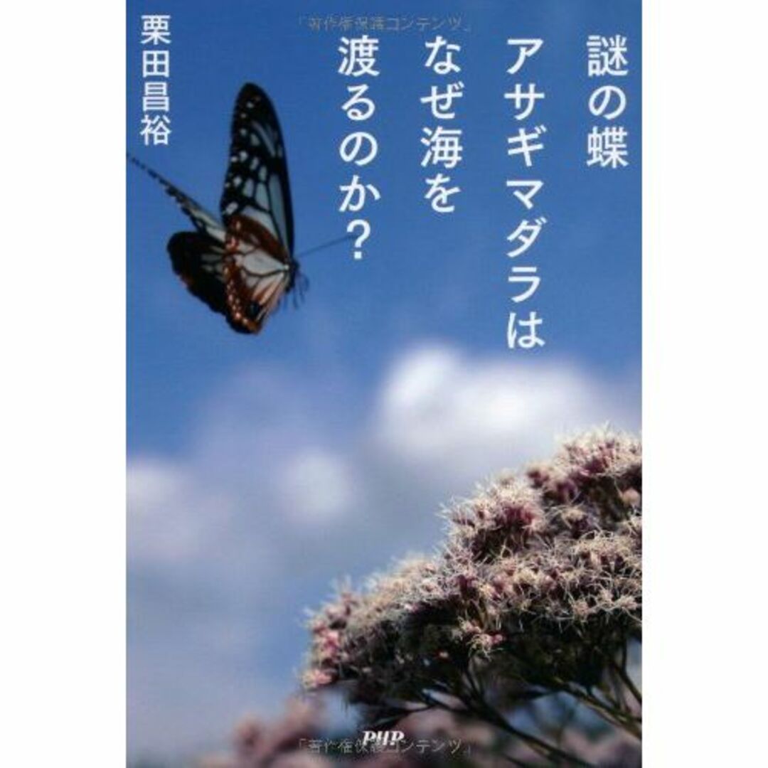 謎の蝶アサギマダラはなぜ海を渡るのか?