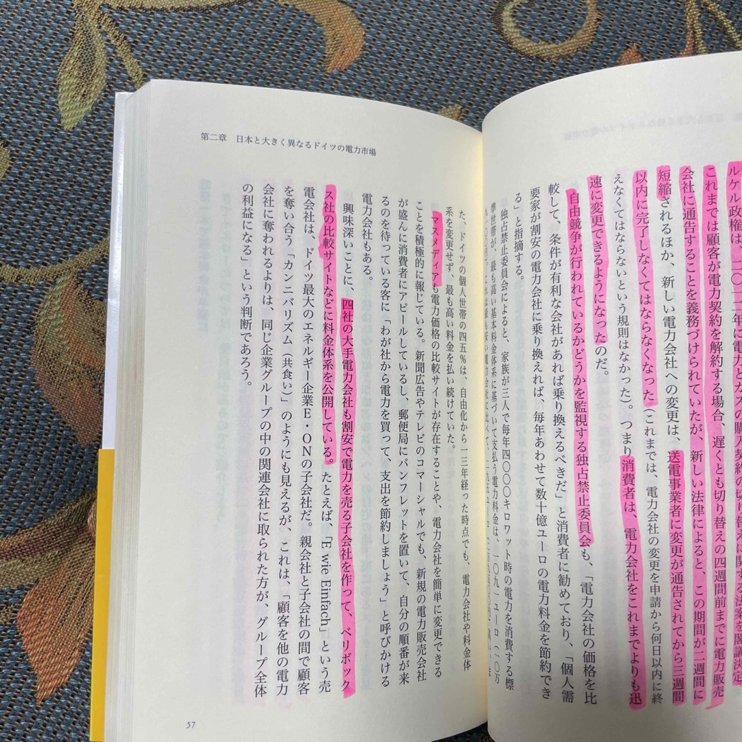 角川書店(カドカワショテン)の脱原発を決めたドイツの挑戦 再生可能エネルギ－大国への道 エンタメ/ホビーの本(人文/社会)の商品写真