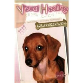 [37011]Visual Healing 4 ミニチュアダックスフント(ブラウン)【趣味、実用 中古 DVD】セル専用(趣味/実用)