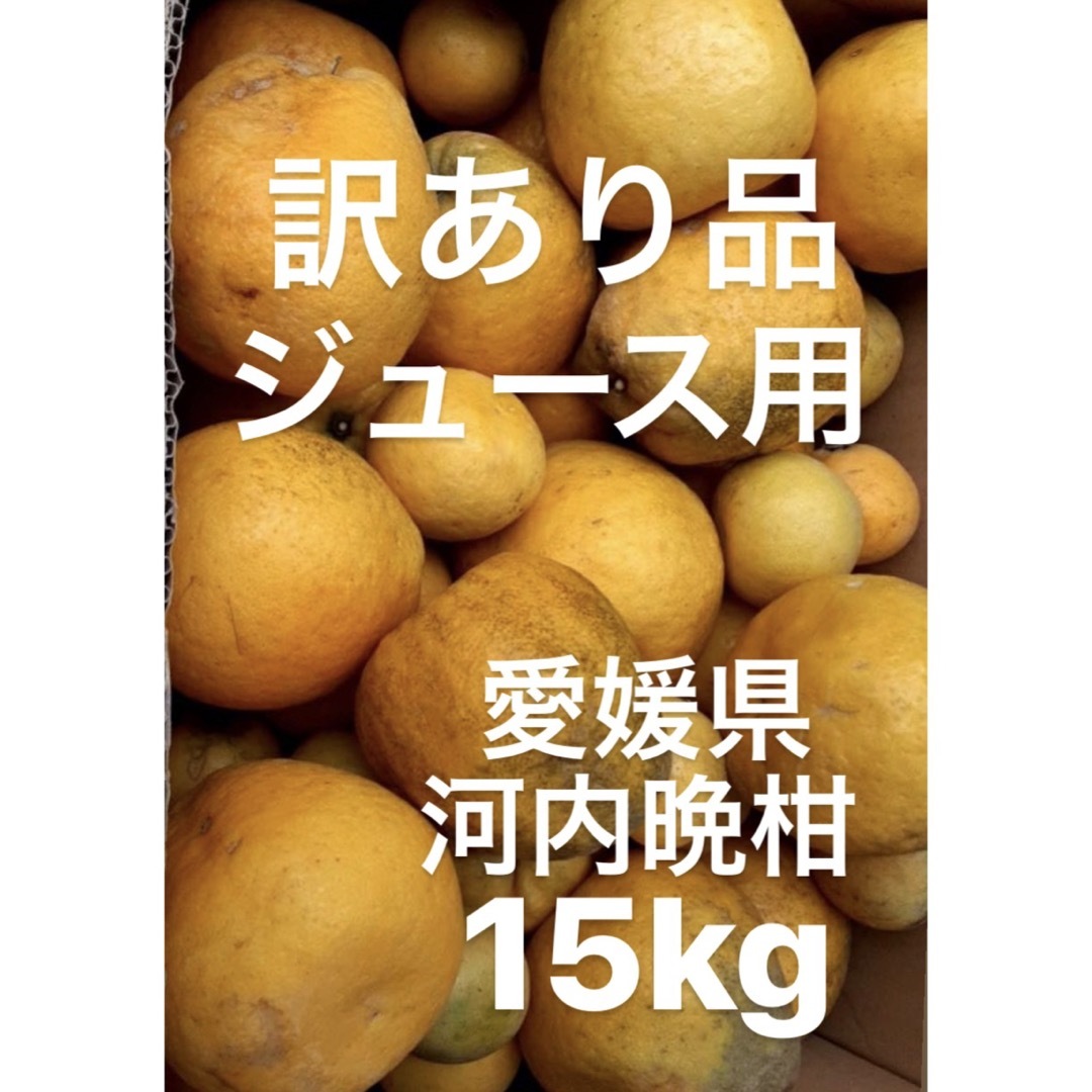 訳あり品　愛媛県産　河内晩柑　宇和ゴールド　柑橘　ジュース用　15kg 食品/飲料/酒の食品(フルーツ)の商品写真