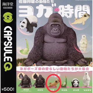 カイヨウドウ(海洋堂)の佐藤邦雄の動物たち　ヨガ時間　パグ　ガシャポン(その他)