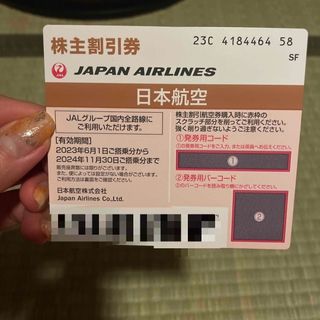 ジャル(ニホンコウクウ)(JAL(日本航空))のJAL 株主優待(その他)