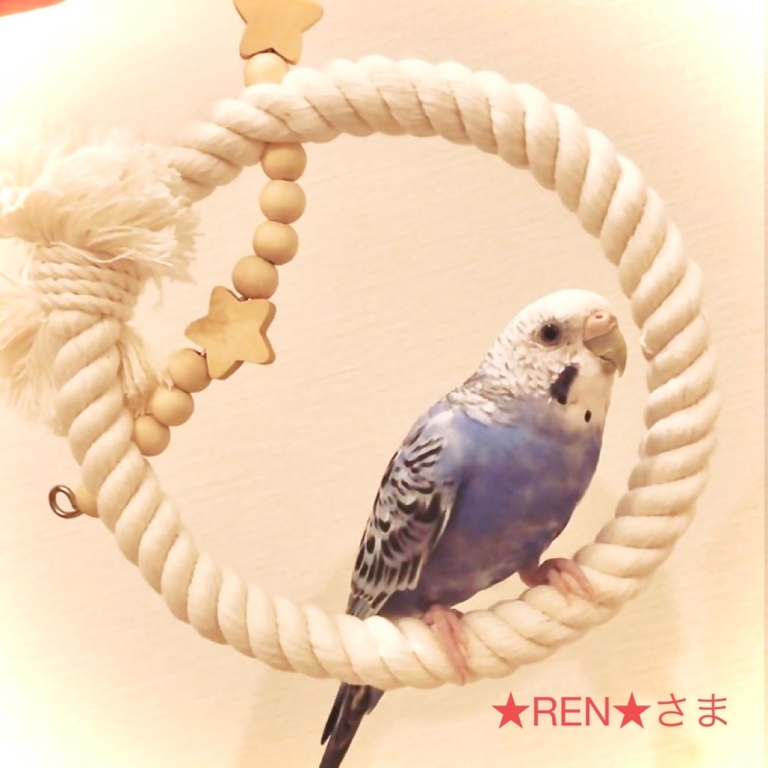 ★REN★さま《ぬくぬくブランコ》《粟穂くるくる》《ゆらゆらツンツン》