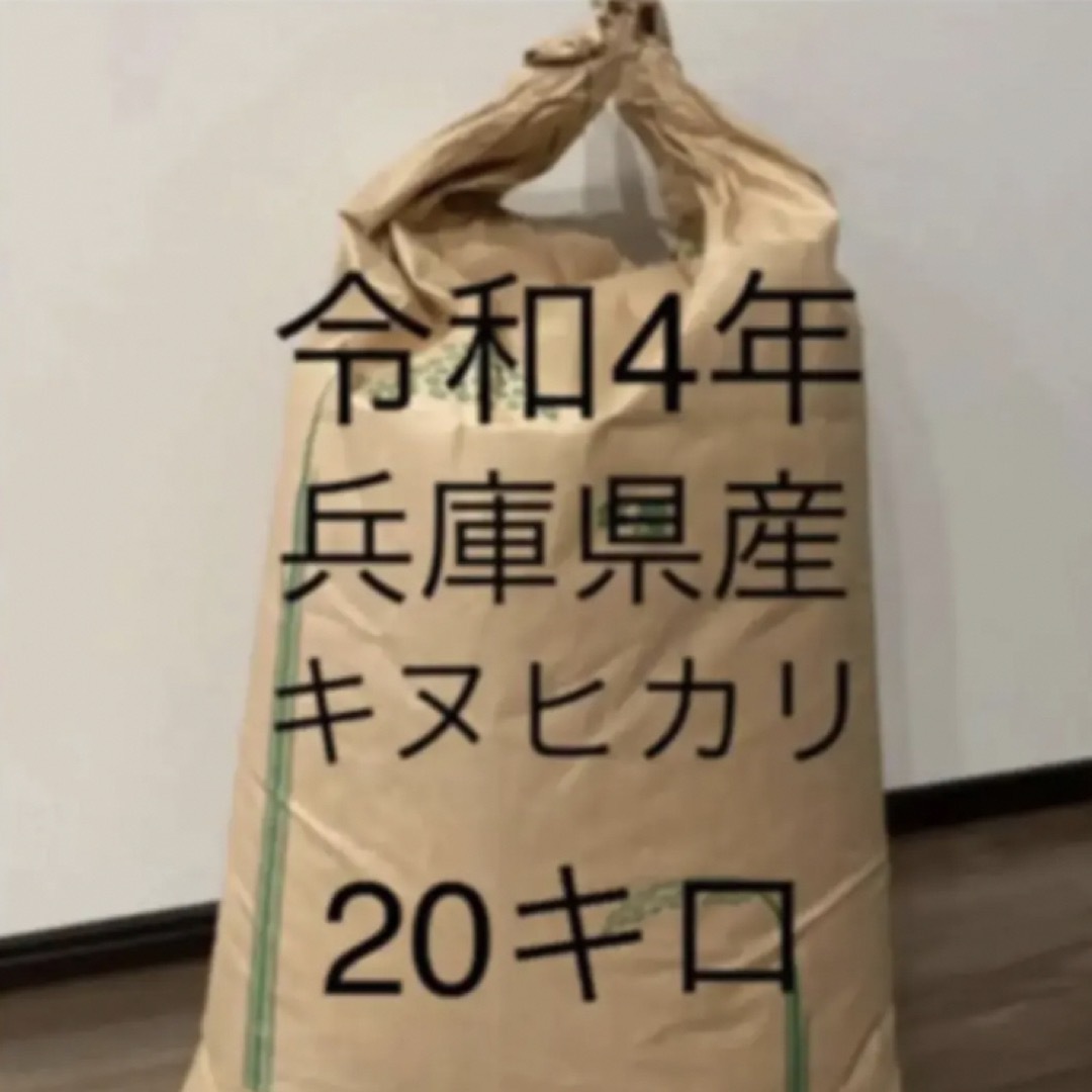 食品【兵庫県産　玄米】20キロ　キヌヒカリ　農家直送