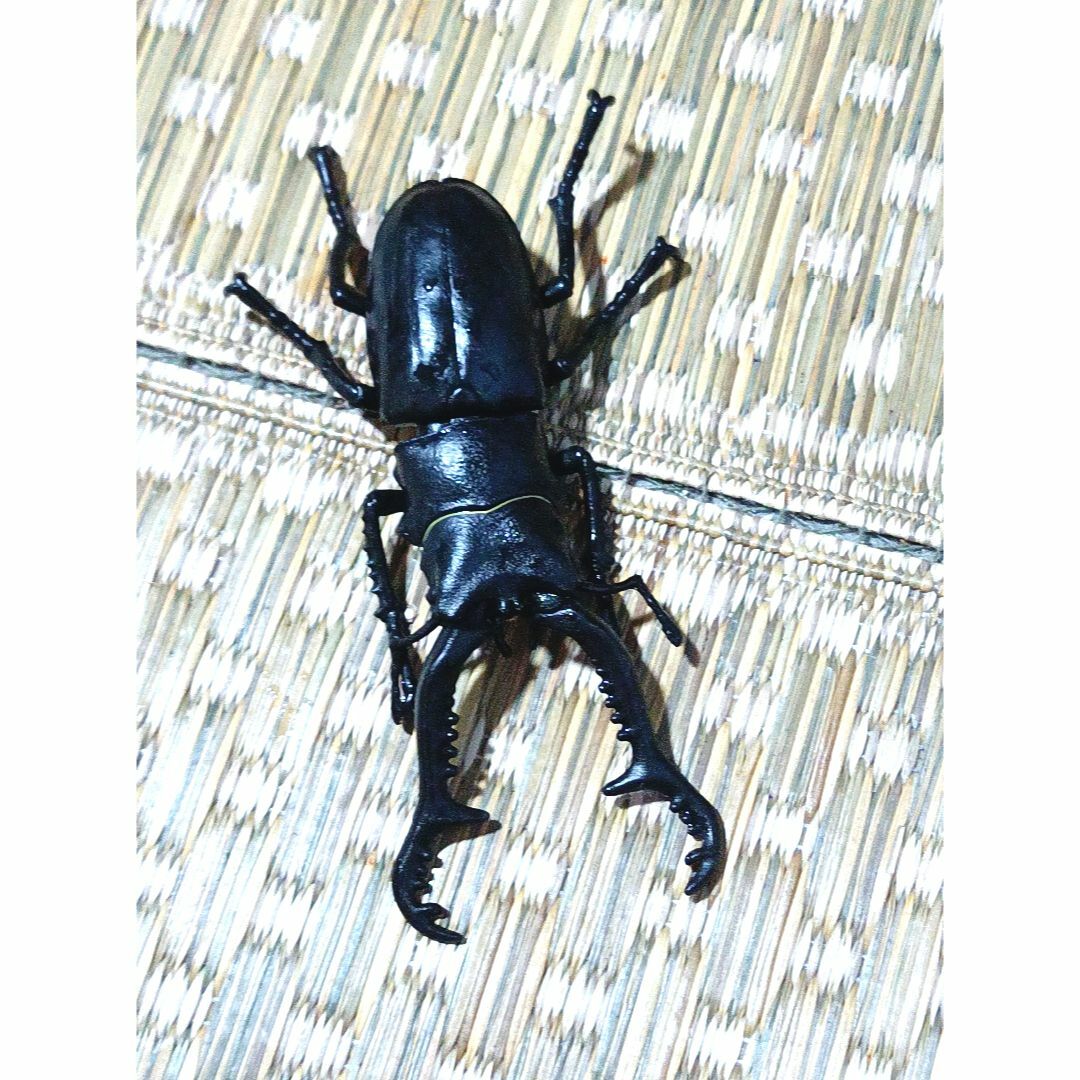 甲虫王者ムシキング ギラファノコギリクワガタ 廃盤の通販 by 甲虫王者ムシキング ギラファノコギリクワガタ 廃盤の通販 by