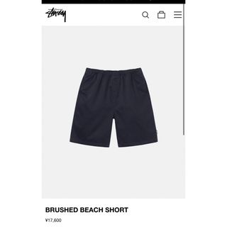 ステューシー(STUSSY)のBRUSHED BEACH SHORT(ショートパンツ)