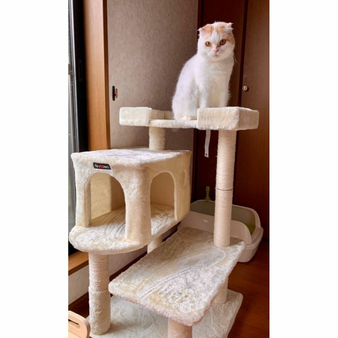 子猫やシニア猫向けの低めの段差付きキャットタワー