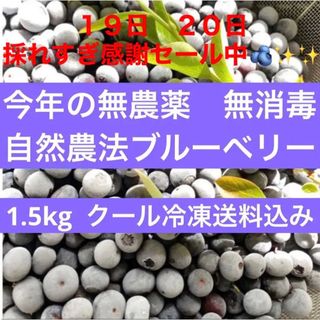 現在SALE中❤︎今年の完熟無農薬冷凍ブルーベリー　１.５kg クール便冷凍発送(フルーツ)