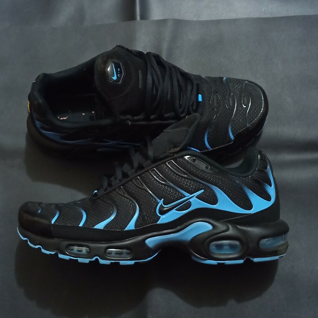 NIKE AIR MAX PLUS 27.5cm